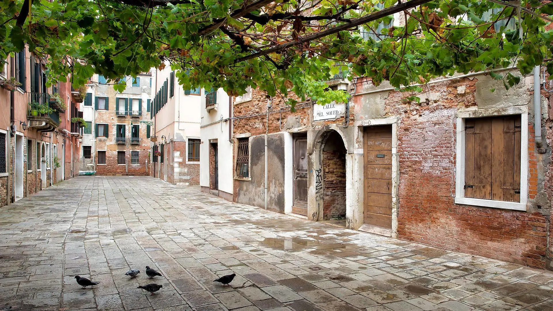 Bed & Breakfast Alla Vite Dorata Venice